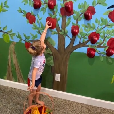 Picking apples in the Loretto Langley Exploratorium