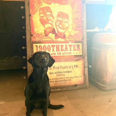 Rosey announcing the date of our Black Tie Affair fundraiser