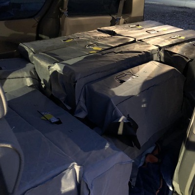After being trapped, they are covered and transported to our site.