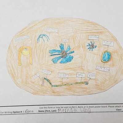 USD251 kids participate in Project Playscape Write/Draw contest "what will splashpad look like?"