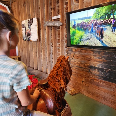 Simulation of cattle drive in our children's area