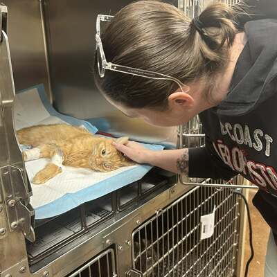 Since we help sick, injured, and orphaned cats, we spend a LOT of time at the vet.