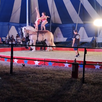 circus held on school grounds