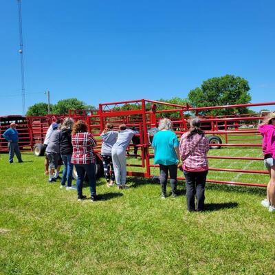 Cow Patty Bingo Fundraiser
