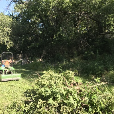 Hauling off the trees, limbs and over growth from the north side