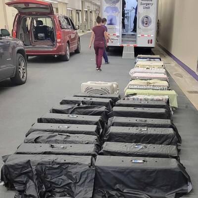 We trap/neuter/return hundreds of cats every year.