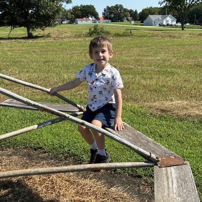 Fun on the merry-go- round